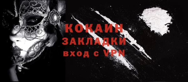 ГАЛЛЮЦИНОГЕННЫЕ ГРИБЫ Арсеньев