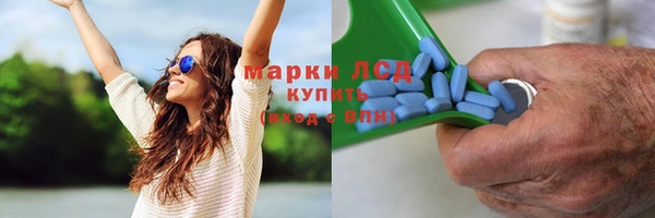 амф Аркадак