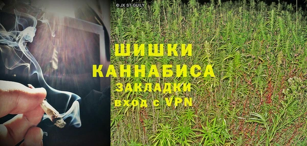 ГАЛЛЮЦИНОГЕННЫЕ ГРИБЫ Арсеньев