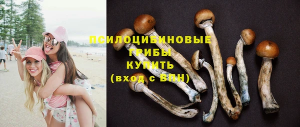 прущая мука Балахна