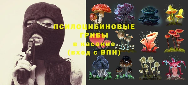 амф Аркадак