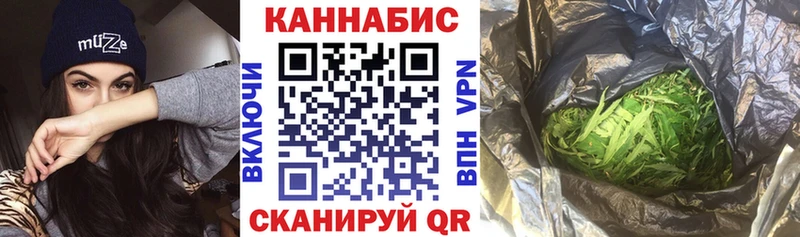 Купить закладки  Вязники  Конопля SATIVA & INDICA 